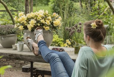 I'CONIA - Gartenbegonien