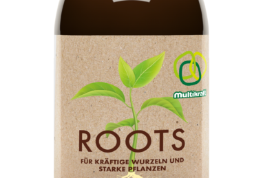 Multikraft Roots