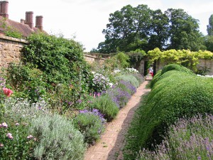 Botanischer Garten - Barrington Court