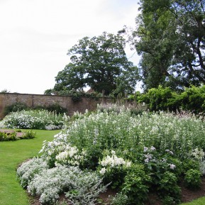 Botanischer Garten - Barrington Court