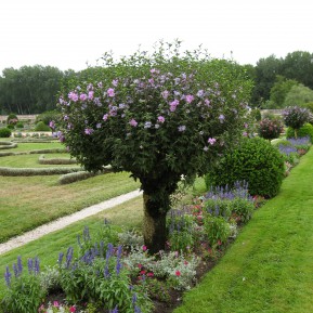 Chenonceau