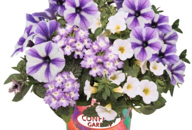 Confetti Garden Blue Bird 2025