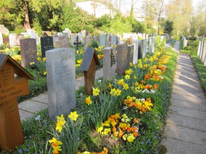 Friedhofsbepflanzungen mit Blumenzwiebeln