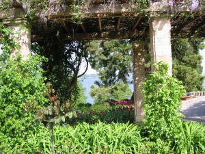 Botanischer Garten Insel Mainau