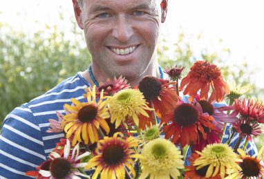 Marco van Noort mit verschiedenen seiner Echinacea-Züchtungen