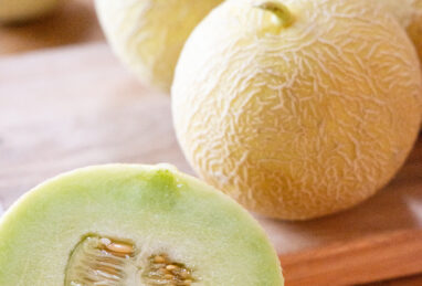 Cucumis melo Korotan F1