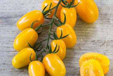Pflaumencherry-Tomate Mirado Yellow