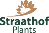 Logo Straathof Plants