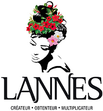 Logo S.A.S. Lannes & Fils