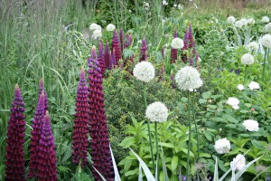 Chelsea Flower Show