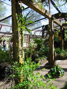 Botanischer Garten Jardin Botanico Soledad (Cuba)