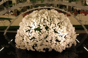 Floralien 2005