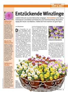 Glückspost 42/2012