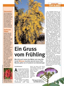 GlücksPost 5/2008